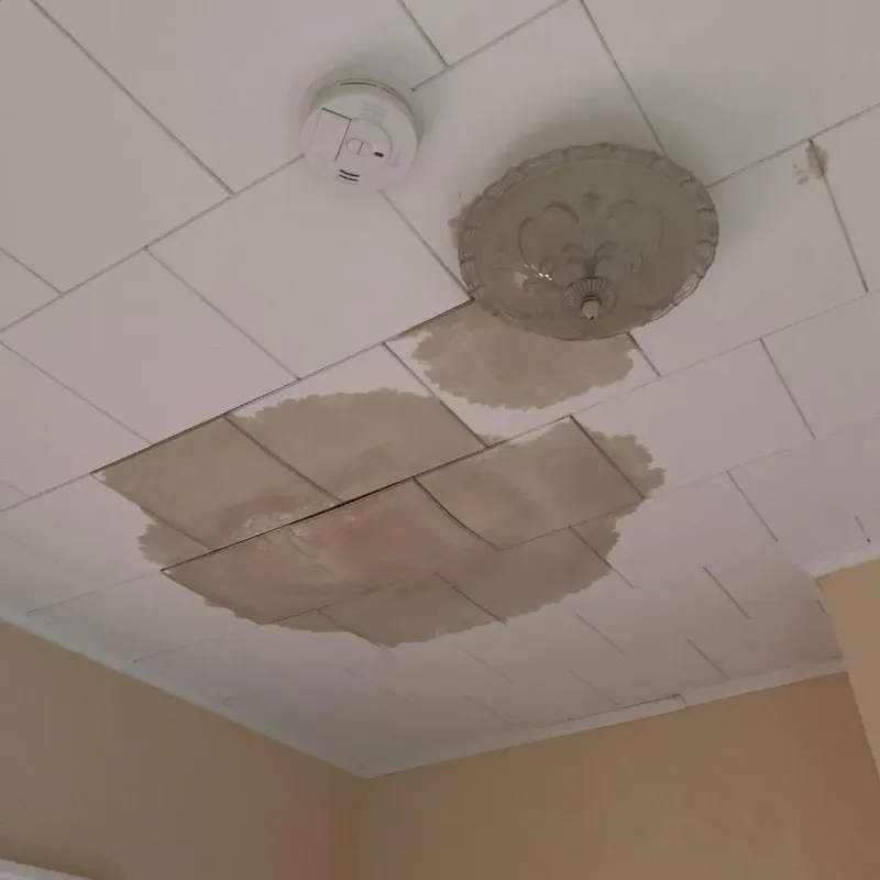 Ceiling Water Damage Repair in Denver, IA