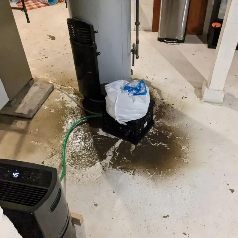 Sewage Backup Cleanup Service in Denver, IA